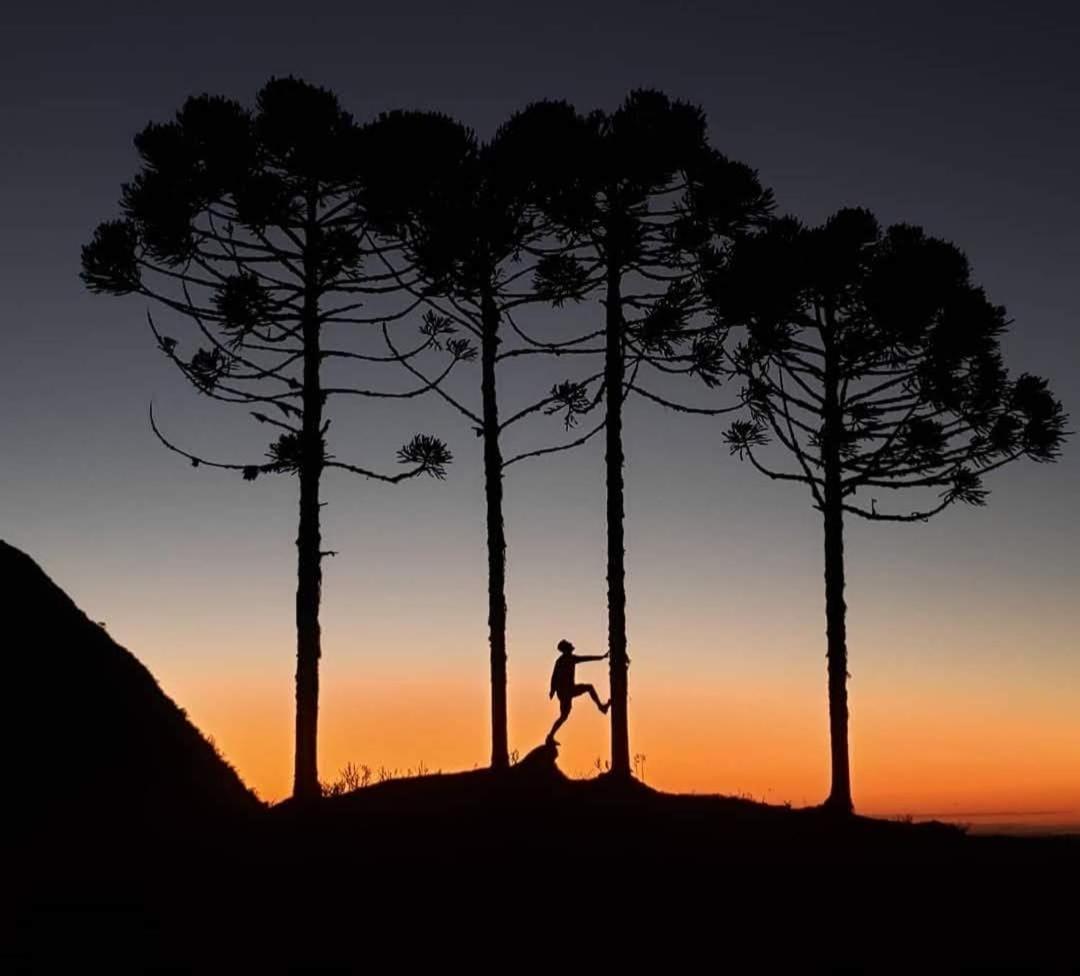 Refugio Da Montanha Brasil Villa Alfredo Wagner Eksteriør bilde