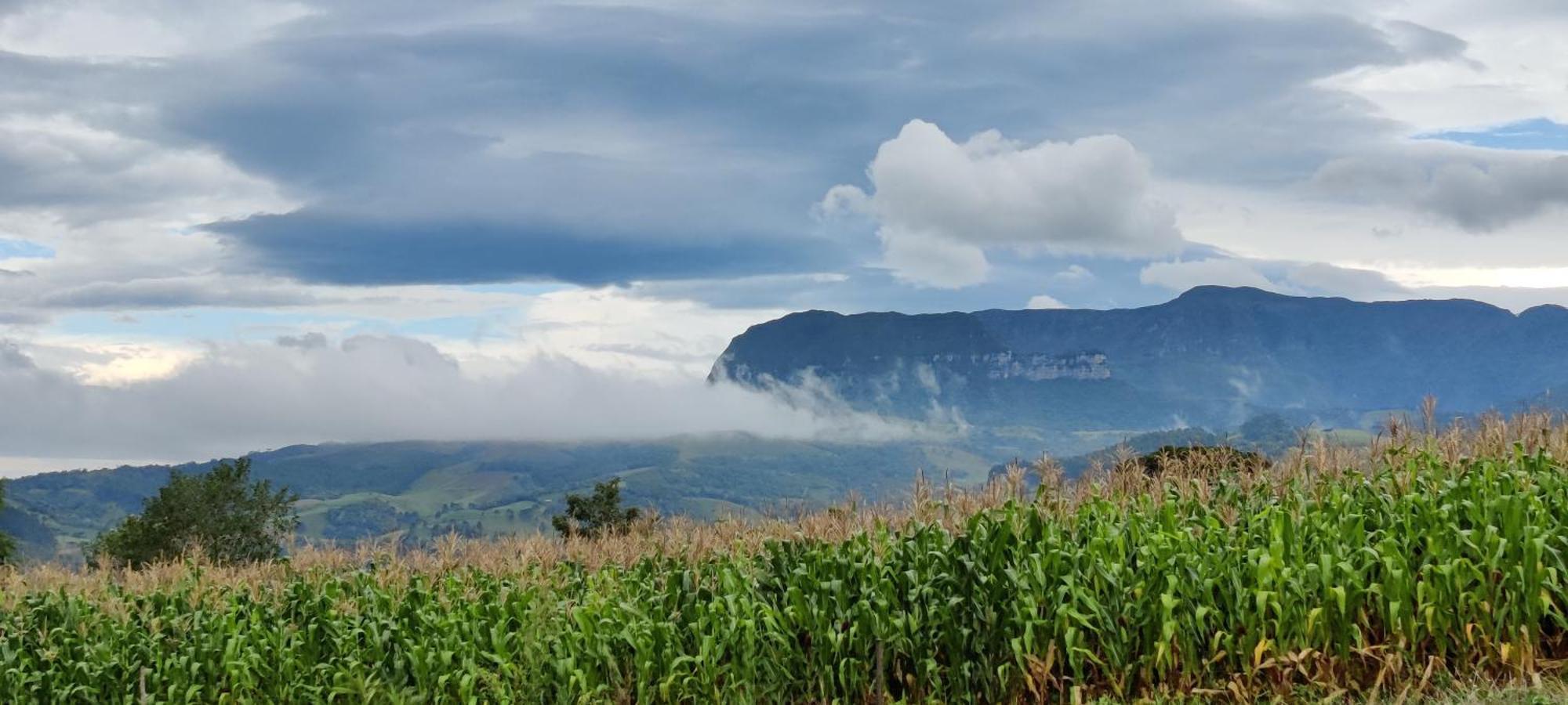 Refugio Da Montanha Brasil Villa Alfredo Wagner Eksteriør bilde